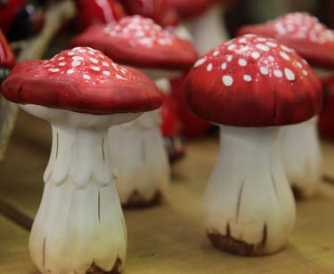 Keramik-Pilz