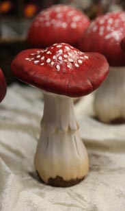 Keramik-Pilz