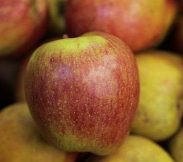 Äpfel
