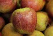 Äpfel