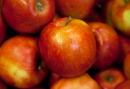 Äpfel