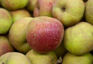 Äpfel