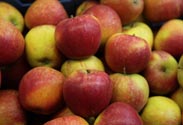 Äpfel