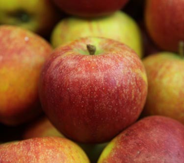 Äpfel