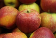 Äpfel