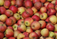 Äpfel