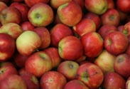 Äpfel