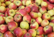 Äpfel