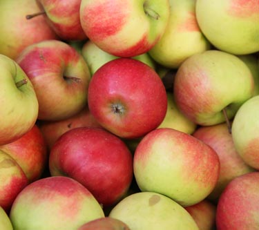 Äpfel