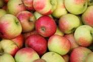 Äpfel