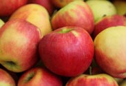 Äpfel