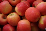 Äpfel