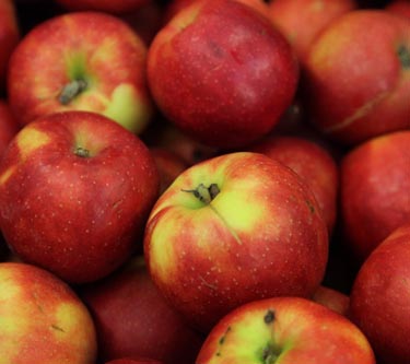 Äpfel