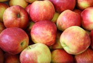 Obst u. Gemüse