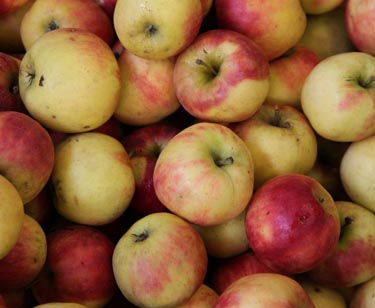 Äpfel