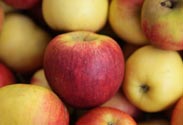Äpfel