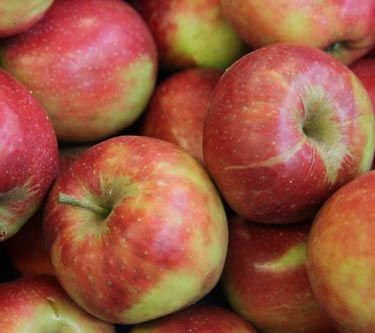 Äpfel