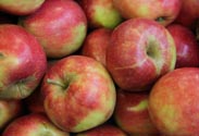 Äpfel