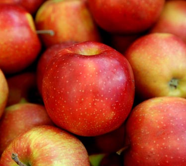 Äpfel