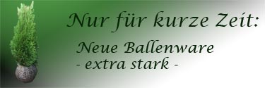 Pflanzen aller Art