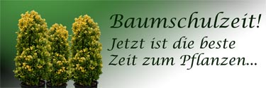 Pflanzen aller Art