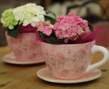 Bepflanzte Tasse