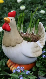 bepflanztes Huhn