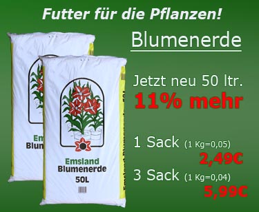 Blumenerde