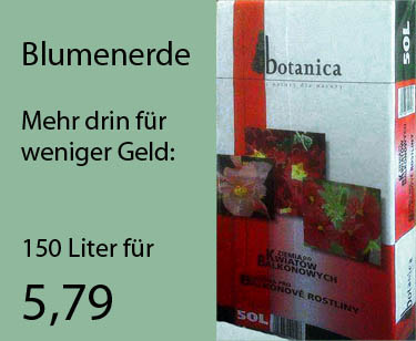 Pflanzen aller Art