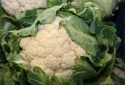 Blumenkohl