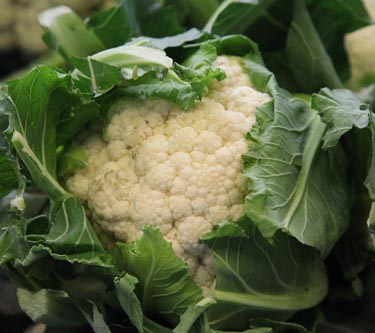 Blumenkohl
