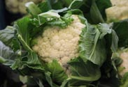 Blumenkohl