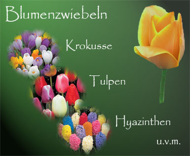 Pflanzen aller Art