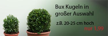 Pflanzen aller Art