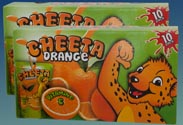 Orange Drink mit Vitamin C