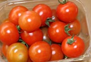 Cocktailtomaten