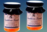 Collier Sanddorn-Kandis