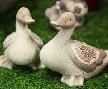 Enten