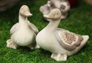 Enten