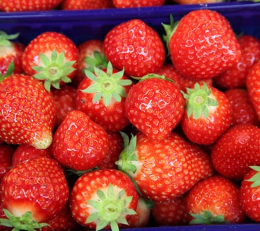 Erdbeeren