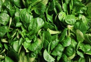 Feldsalat