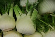 Fenchel