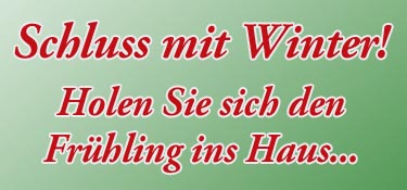 Vergissmeinicht