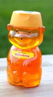Gina Blütenhonig