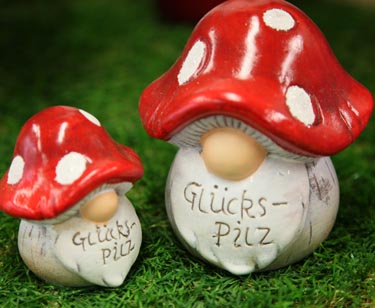 Glückspilz