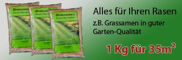 Rasensamen