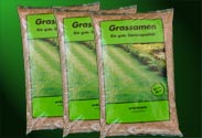 Rasensamen
