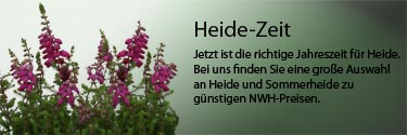 Pflanzen aller Art