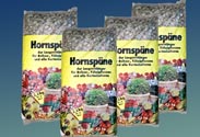Hornspäne