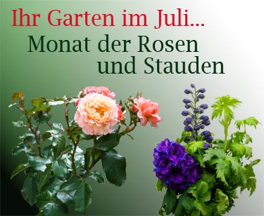 Pflanzen aller Art